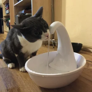 Flowing Water Fountain for Pets